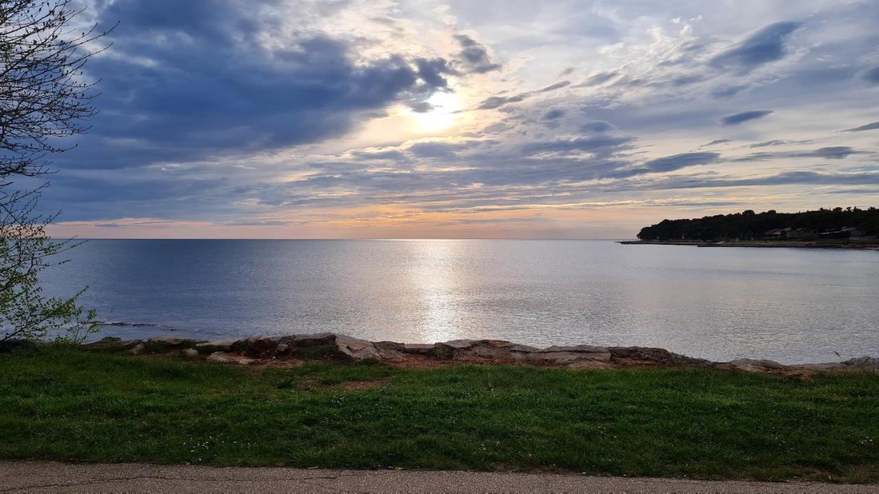 Apartments Kivi Novigrad Istria Kültér fotó