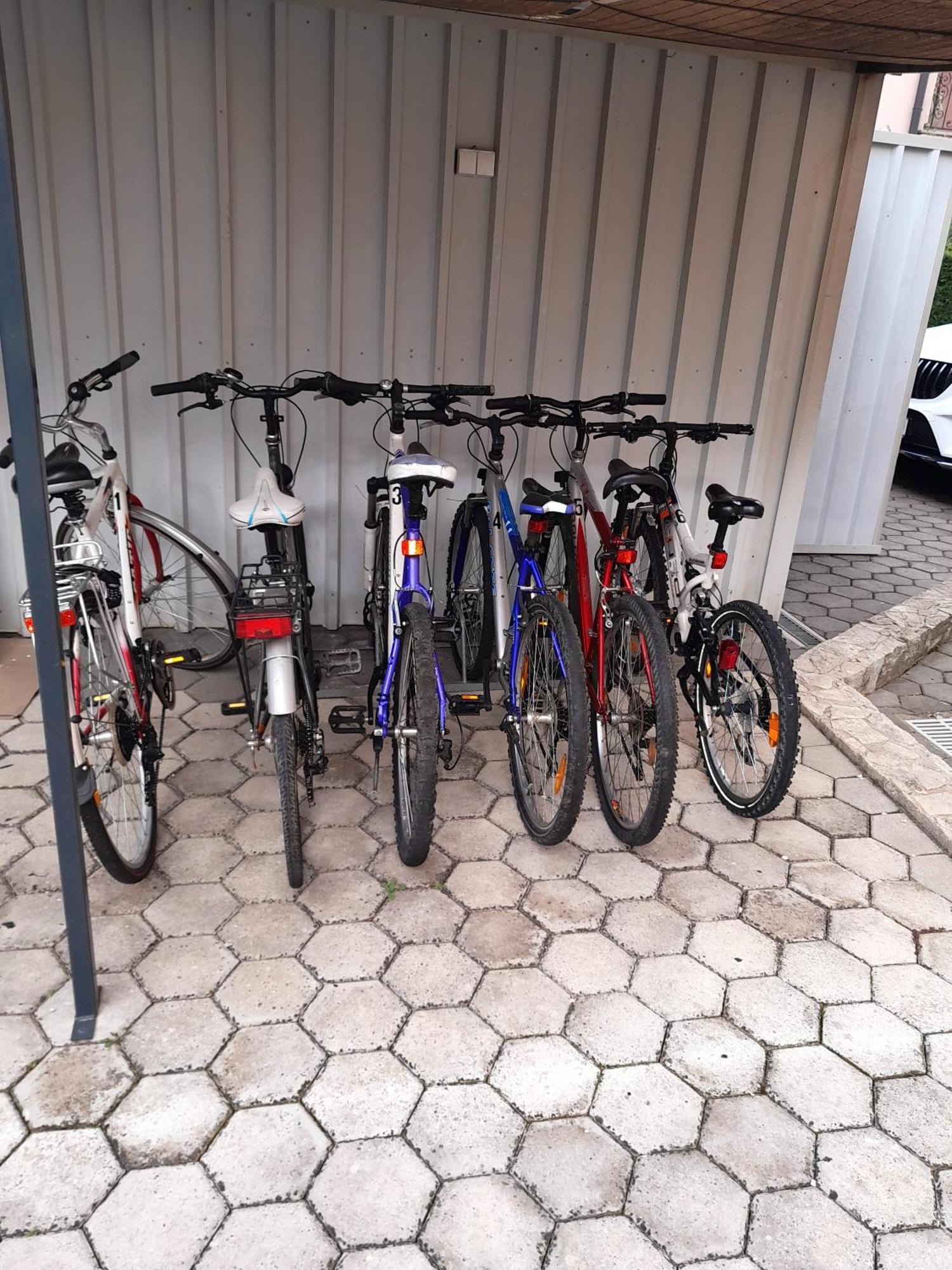 Apartments Kivi Novigrad Istria Kültér fotó