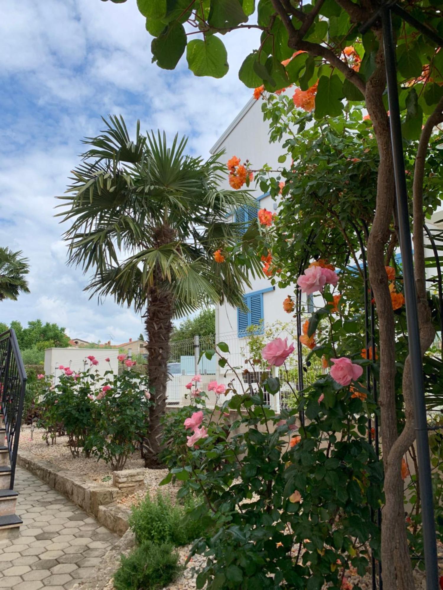 Apartments Kivi Novigrad Istria Kültér fotó