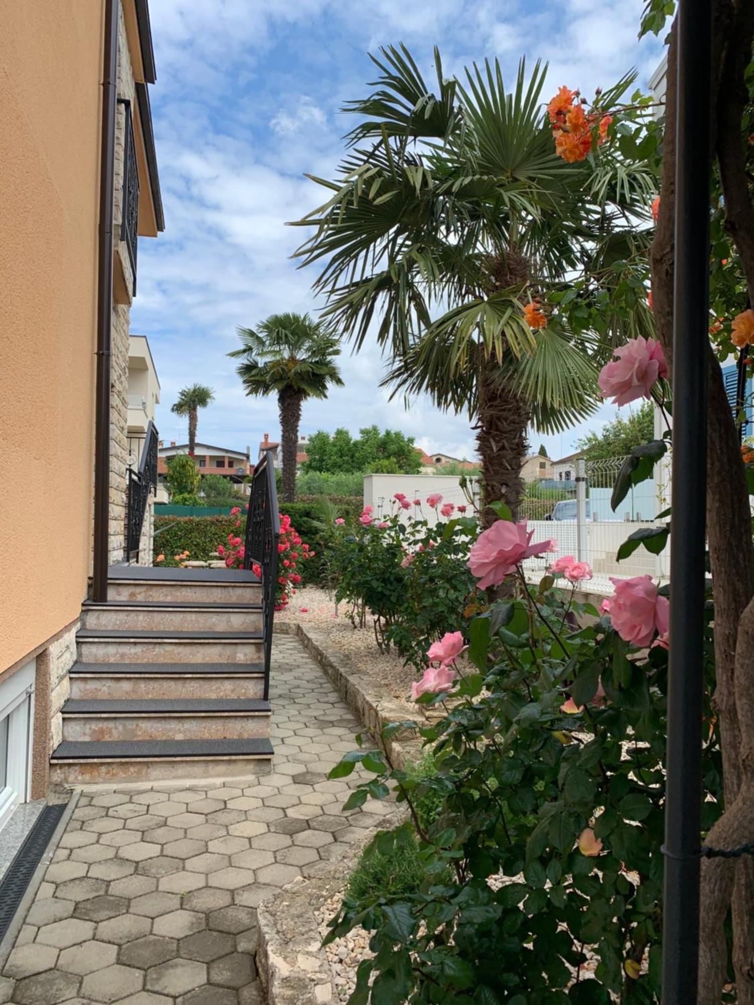 Apartments Kivi Novigrad Istria Kültér fotó