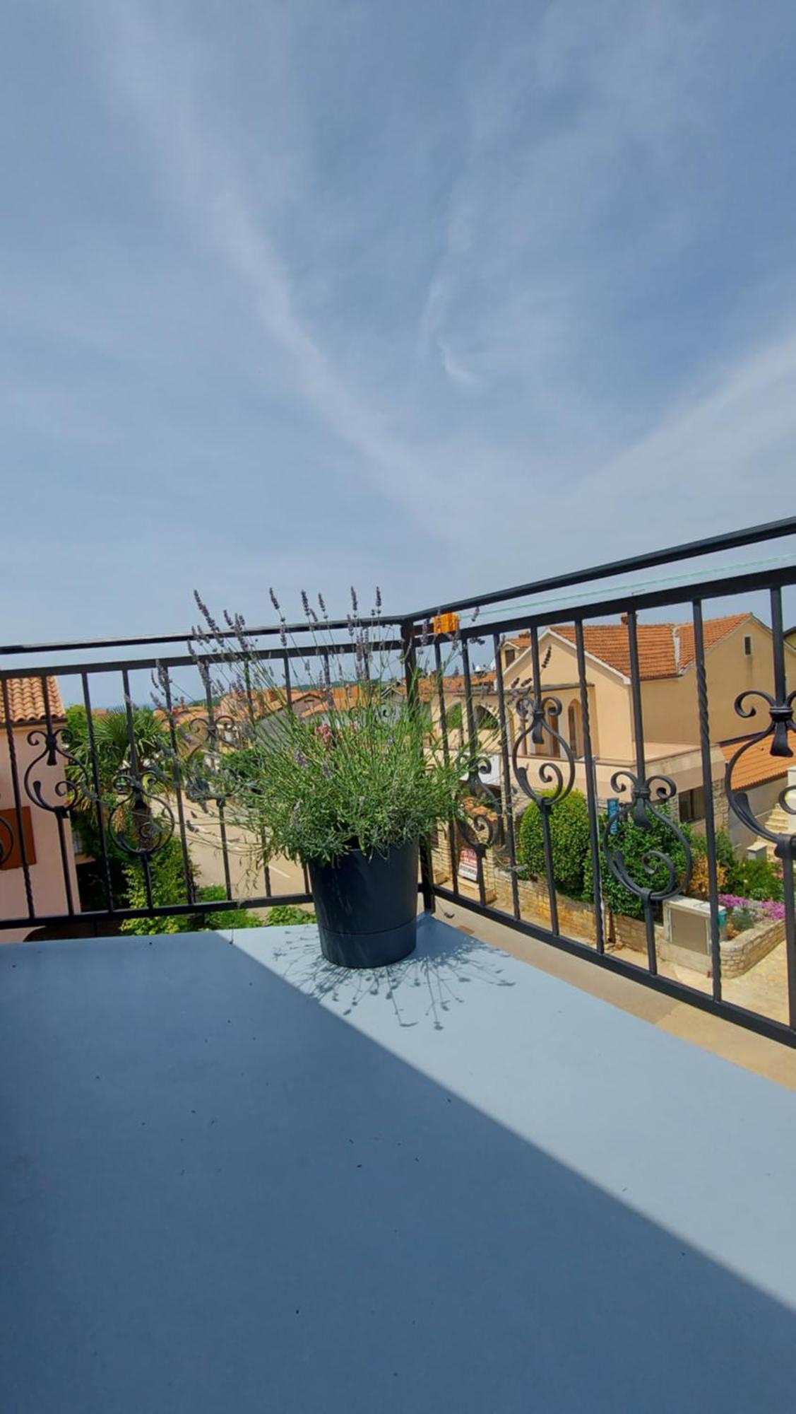 Apartments Kivi Novigrad Istria Kültér fotó